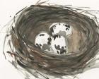 Nesting Eggs I