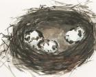 Nesting Eggs II