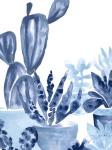 Indigo Succulent IV