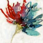 Splashed Flower I