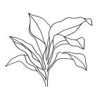 Foliage Contour I