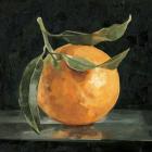 Dark Orange Still Life I