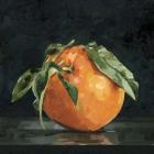 Dark Orange Still Life II