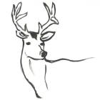 Minimal Deer I