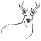 Minimal Deer II