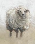 Fluffy Sheep II