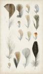 Antique Bird Feathers I