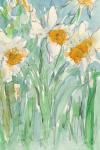 Daffodils Stems II