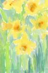 Daffodils I