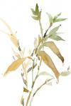 Stems I