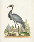 Antique Heron & Cranes II