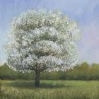 Spring Blossom Tree I