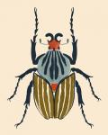 Beetle Bug I