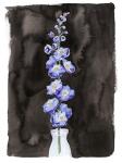 Blue Delphinium I