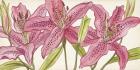 Pink Lilies I