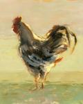 Sunlit Rooster II