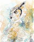 Owl Majestic I