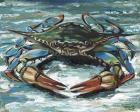 Blue Palette Crab II