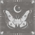 Hallowed Moon II