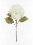 White Blossom III