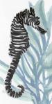 Zebra Seahorse I