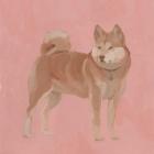 Shiba Inu I