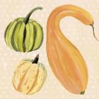 Decorative Gourd I