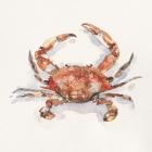 Crusty Crab I