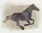 Galloping I