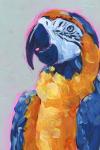 Pop Art Parrot I