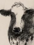 Cow Portrait Sketch II