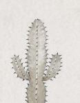 Cactus Study I