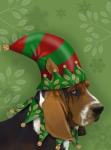 Basset Hound, Elf Hat