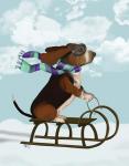 Basset Hound, Sledging