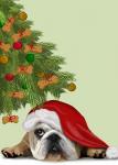 English Bulldog, Cookie Tree