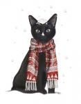 Black Cat, Red Scarf