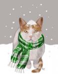 White Cat, Green Scarf