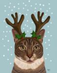 Calico Cat and Antlers