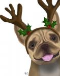 French Bulldog, Antlers 2