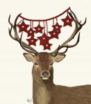 Deer, Star Decorations