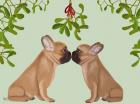 French Bulldogs and Mistletoe