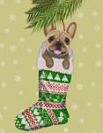 French Bulldog in Christmas Stocking