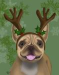 French Bulldog, Antlers 1