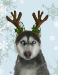 Husky and Antlers