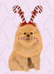 Pomeranian and Candy Canes
