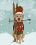 Yellow Labrador, Skiing