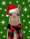 Llama, Christmas Hat