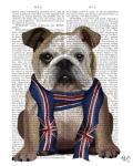 English Bulldog with Scarf