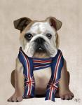 English Bulldog with Scarf