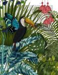 Toucan in Tropical Forest